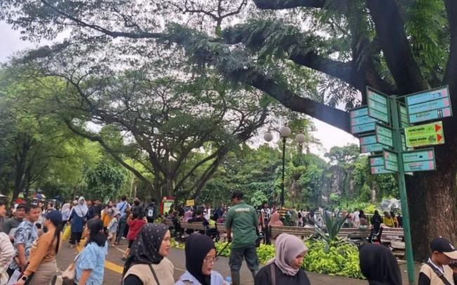 Ragunan Targetkan 400 Ribu Pengunjung Selama Libur Idul Fitri 2026