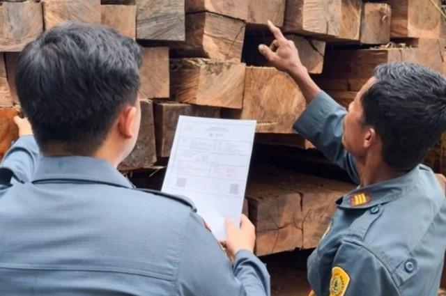 Kementerian Kehutanan Tetapkan Pemilik Ratusan Batang Kayu Ilegal dari Morowali Utara sebagai Tersangka