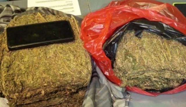 Polda Metro Jaya Gagalkan Peredaran Ganja 4,3 Kilogram di Depok, Satu Tersangka Ditangkap