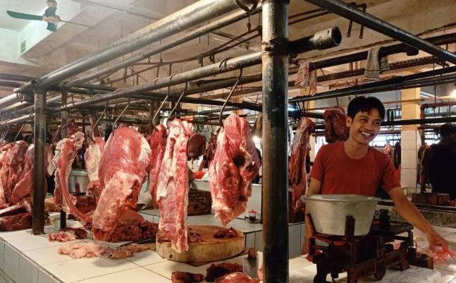 BUMN Pastikan Harga Daging Kerbau Impor Tetap di Bawah HAP Meski Ada Keluhan Pedagang