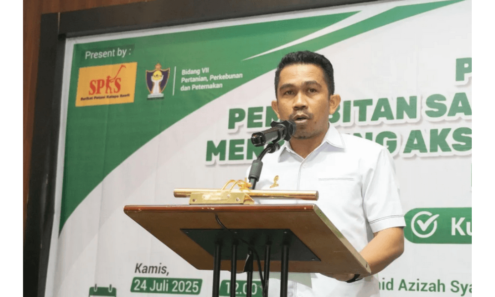 Serikat Petani Sawit Tolak Kenaikan Pungutan Ekspor CPO, Nilai Kebijakan Tekan Harga TBS Petani