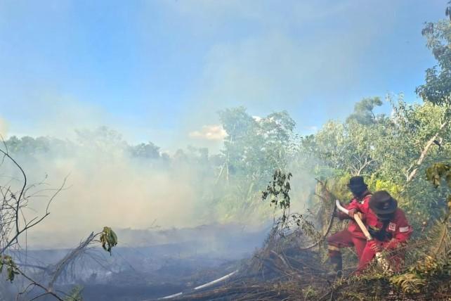 Tim Gabungan Padamkan Karhutla di Lima Wilayah Riau, Tiga Helikopter Dikerahkan untuk Patroli Udara