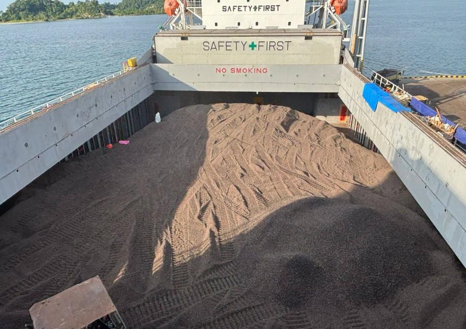 Ekspor Cangkang Sawit ke Jepang Tambah Devisa Negara