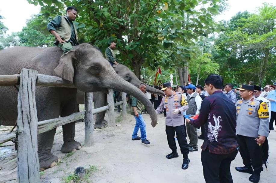 Kapolri dan Ketua Komisi IV DPR Tinjau Tesso Nilo, Fokus Pulihkan 81 Ribu Hektare Habitat Gajah Sumatera