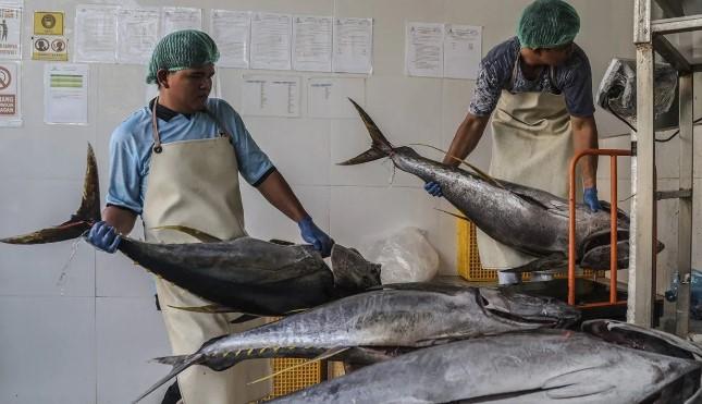 KKP Catat Nilai Ekspor Perikanan Indonesia Capai Rp16,7 Triliun hingga Maret 2026