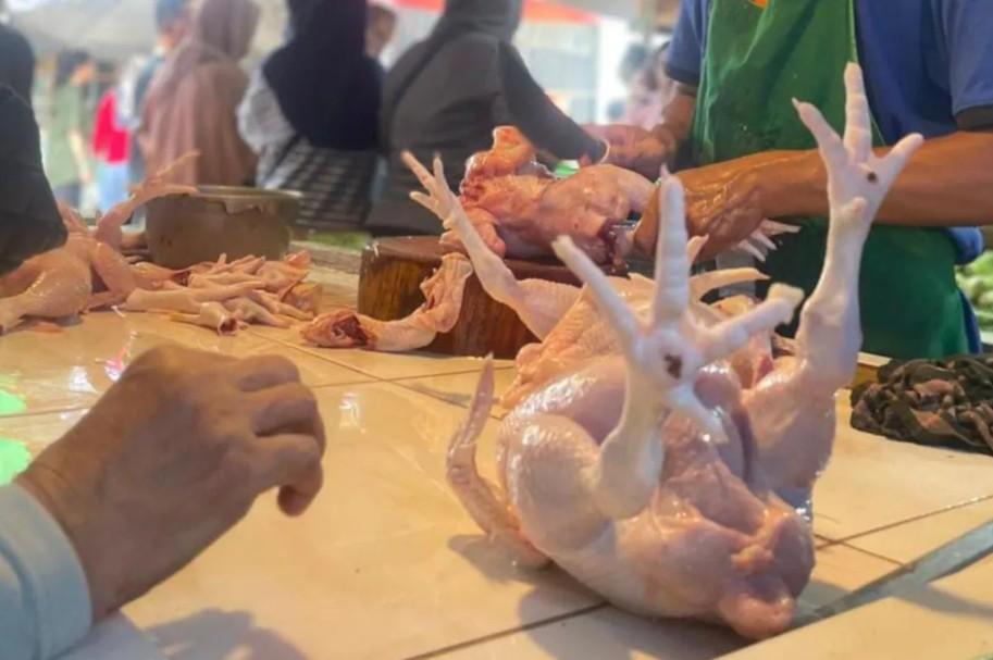 Harga Daging Ayam di Jakarta Turun ke Rp38.500 per Kg Usai Intervensi Dharma Jaya