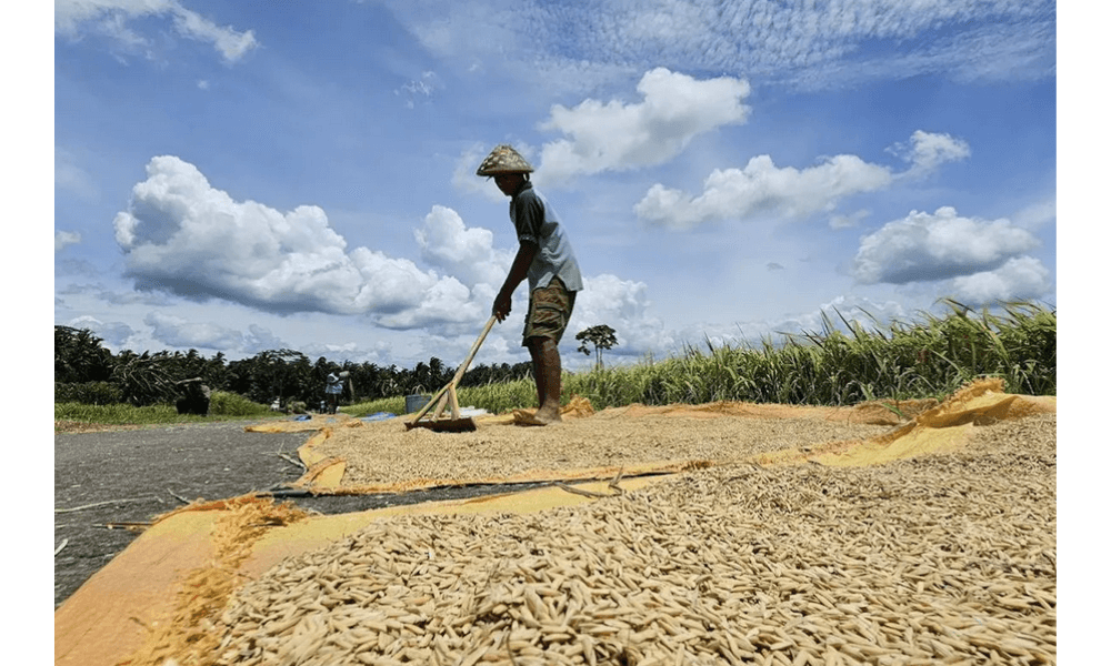 Mentan Tegaskan Kemandirian Pangan Nasional, Indonesia Siap Hadapi Ancaman Krisis Global