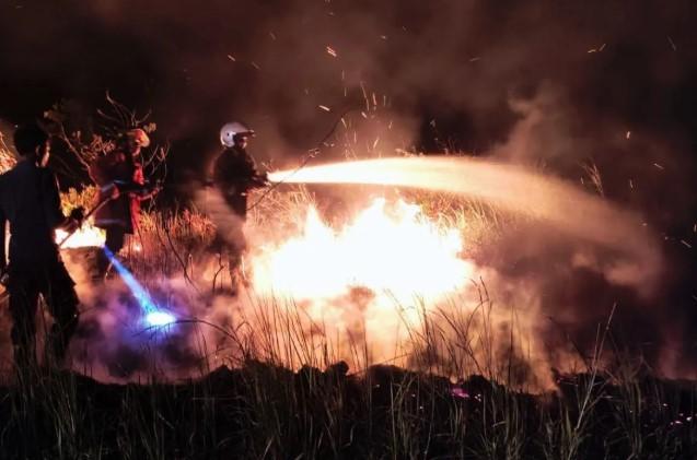 Pemkab Natuna Berhasil Padamkan Kebakaran Lahan 50 Hektare, Api Berkobar Lebih dari Tiga Jam