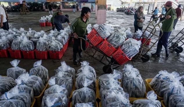 Perang Teluk Jadi Alarm Ketahanan Perikanan Indonesia di Tengah Tekanan Global