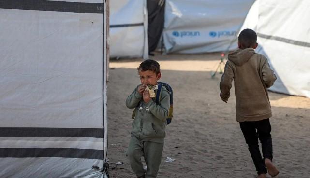 IFRC Ungkap Konflik Timur Tengah Picu Keterlambatan Distribusi Bantuan Global