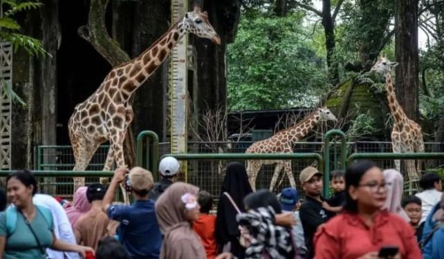 Satpol PP Jakarta Selatan Kerahkan 160 Personel Amankan Kawasan Wisata Selama Libur Lebaran