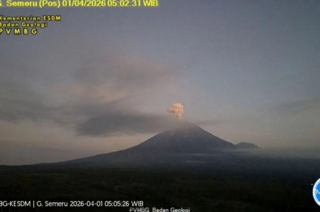 Gunung Semeru Alami 16 Kali Gempa Letusan dalam Enam Jam, Kolom Abu Capai 700 Meter