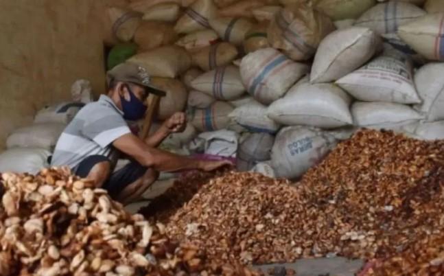 Kemendag Sebut Surplus Pasokan Global Picu Penurunan Harga Biji Kakao pada April 2026