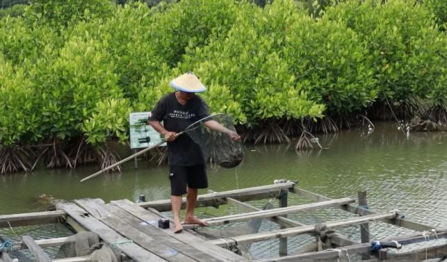 Pakar Unmul Gagas Sekolah Lapang untuk Selamatkan Ekosistem Pesisir Kaltim dari Dampak Perubahan Iklim