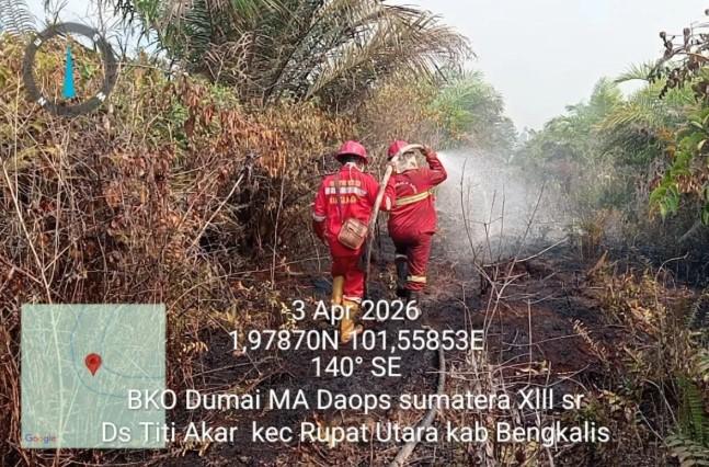 BMKG Deteksi 310 Titik Panas di Riau, Bengkalis Jadi Wilayah Terbanyak