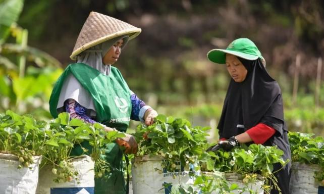 BRIN Tekankan Peran Komunitas dalam Transformasi Pemulihan Pascabencana Berkelanjutan