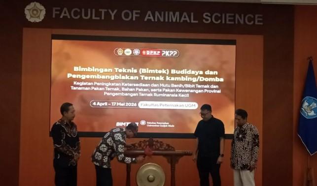 UGM Gelar Bimtek Kambing dan Domba untuk 585 Peternak DIY, Dorong Produktivitas dan Kesejahteraan