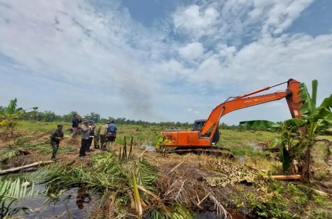 Kemenhut dan Satgas PKH Bersihkan 102 Hektare Sawit Ilegal di Suaka Margasatwa Sumut