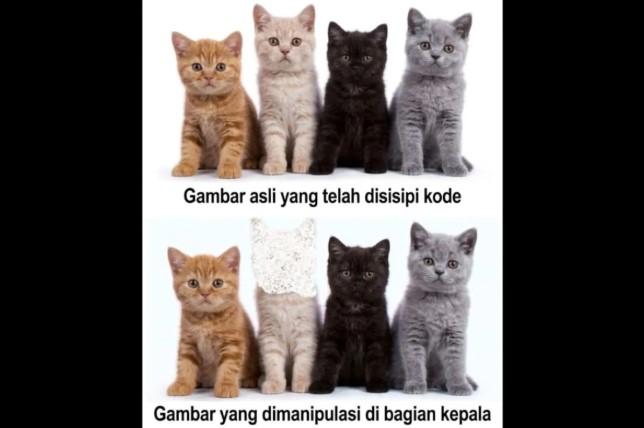 Peneliti Unej Kembangkan Metode Deteksi Pemalsuan Gambar Digital Berbasis Konsep Matematika