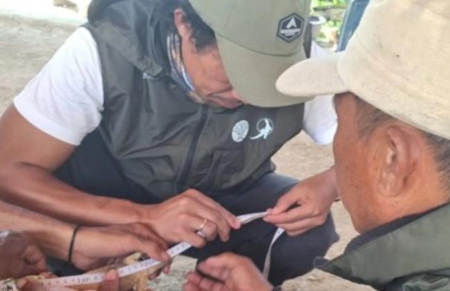 Anak Komodo Masuk Permukiman Warga di Manggarai Timur, BKSDA NTT Lakukan Evakuasi dan Pelepasliaran