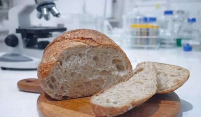 BRIN Kembangkan Roti Sourdough Berbasis Beras Lokal Gunungkidul untuk Pangan Sehat dan Berkelanjutan
