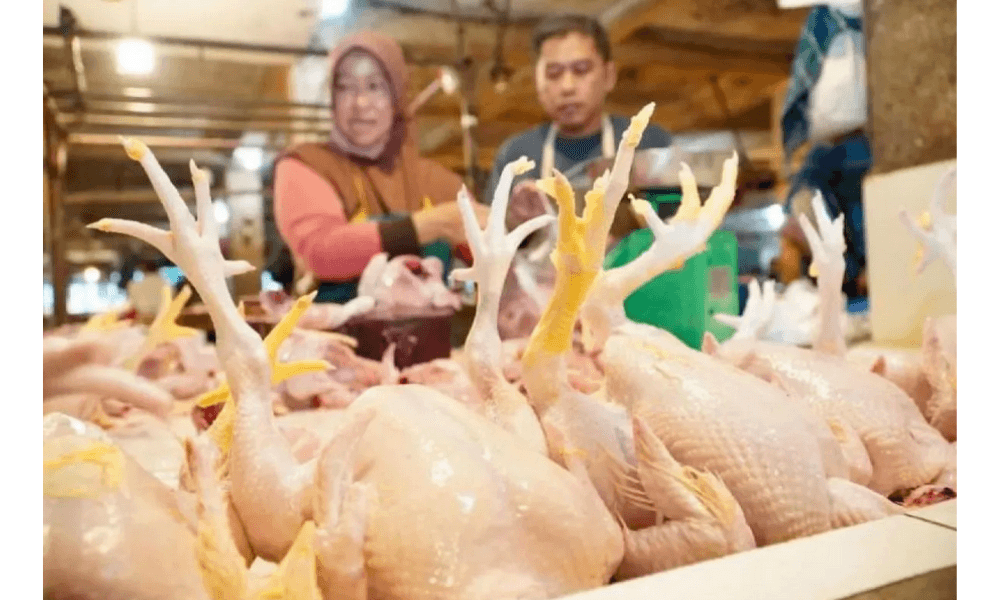 Harga Pangan Nasional Naik, Cabai Rawit Tembus Rp83.100 per Kilogram