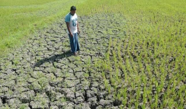 BMKG Prediksi Kemarau 2026 Lebih Kering dan Lebih Panjang, Masyarakat Diminta Waspada