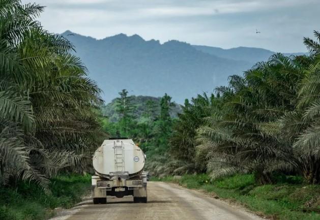 Akademisi Sebut Program Biodiesel Efektif Tekan Impor BBM dan Hemat Devisa Negara