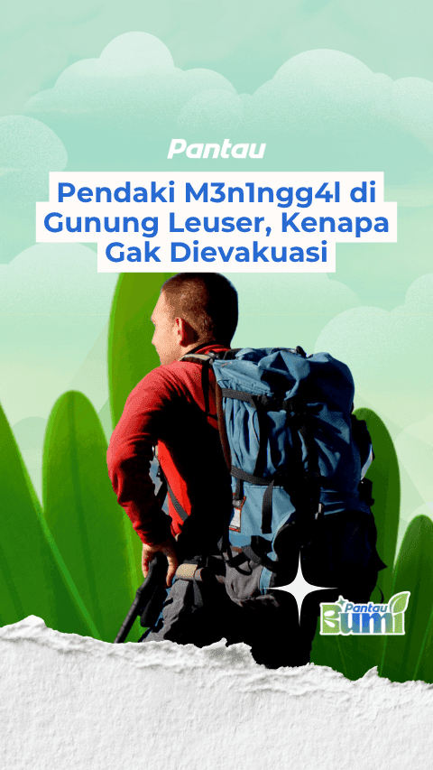 PENDAKI MENINGGAL DI GUNUNG LEUSER