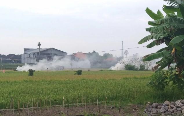 Dinkes Bali Peringatkan Bahaya Bakar Sampah Picu Gangguan Pernapasan dan Risiko Kanker