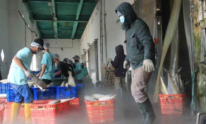 Survei BI Tunjukkan Kinerja Dunia Usaha Tetap Terjaga pada Triwulan I 2026