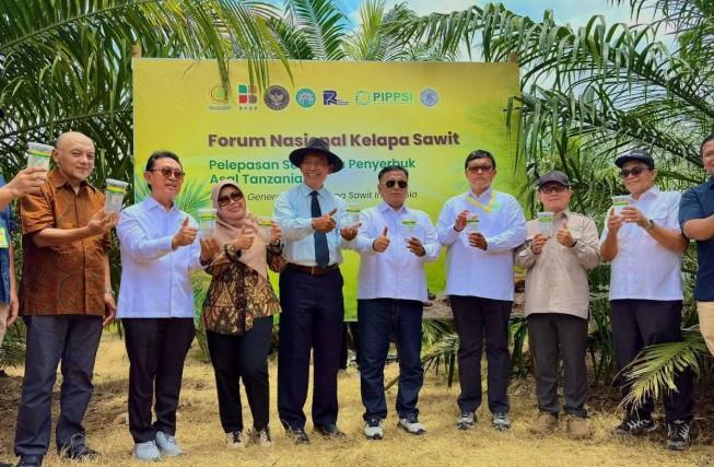 PalmCo Uji Serangga Penyerbuk Asal Afrika untuk Dongkrak Produktivitas Sawit Nasional