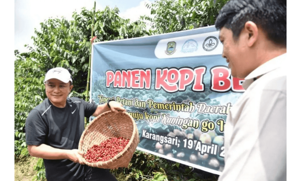 Bupati Dian Rachmat Yanuar Sebut Kopi Kuningan Berpeluang Tembus Pasar Global