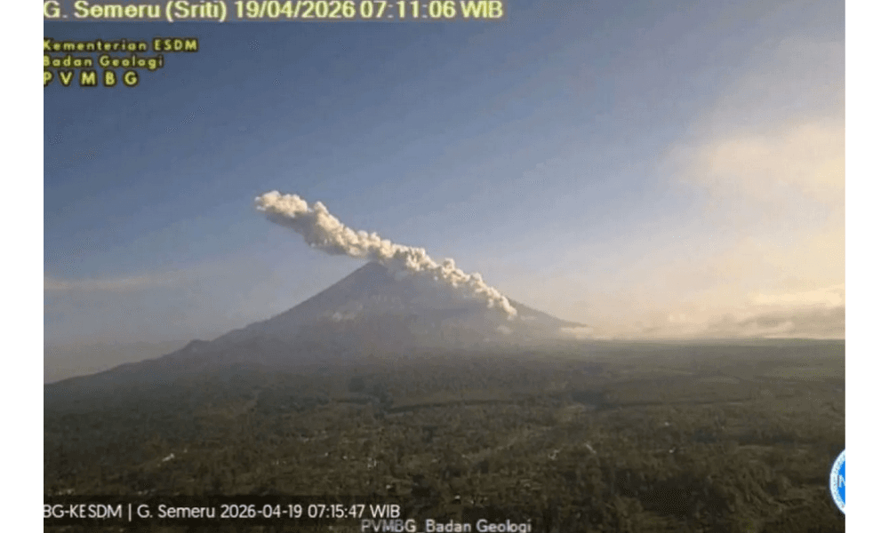 Gunung Semeru Erupsi Disertai Awan Panas Guguran Sejauh 4 Km