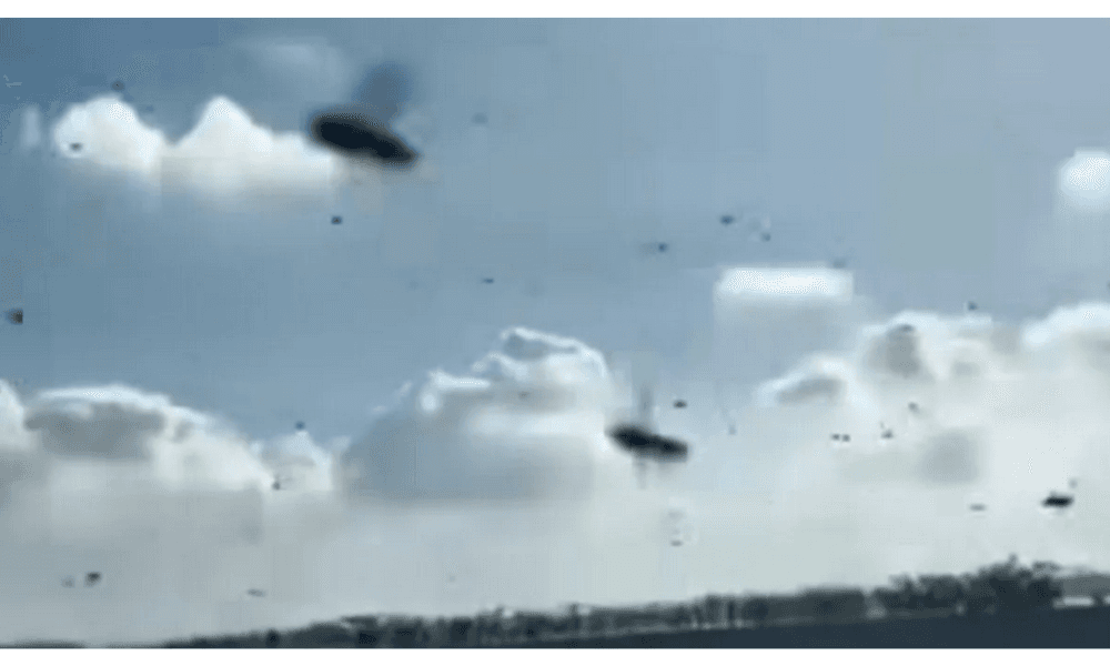 BKSDA Bali Sebut Pancaroba Picu Migrasi Lebah Lintasi Tol Bali Mandara