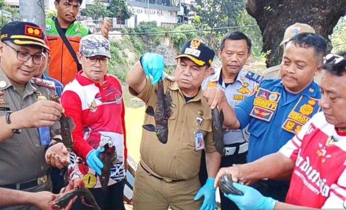 KPKP Jakarta Timur Gencarkan Penangkapan Ikan Sapu-Sapu di Seluruh Kecamatan untuk Kendalikan Ekosistem