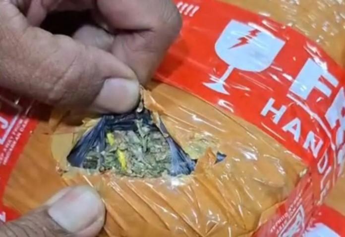 Polisi Tangkap Pengedar Ganja di Tanah Abang, Sita 3,6 Kilogram Barang Bukti