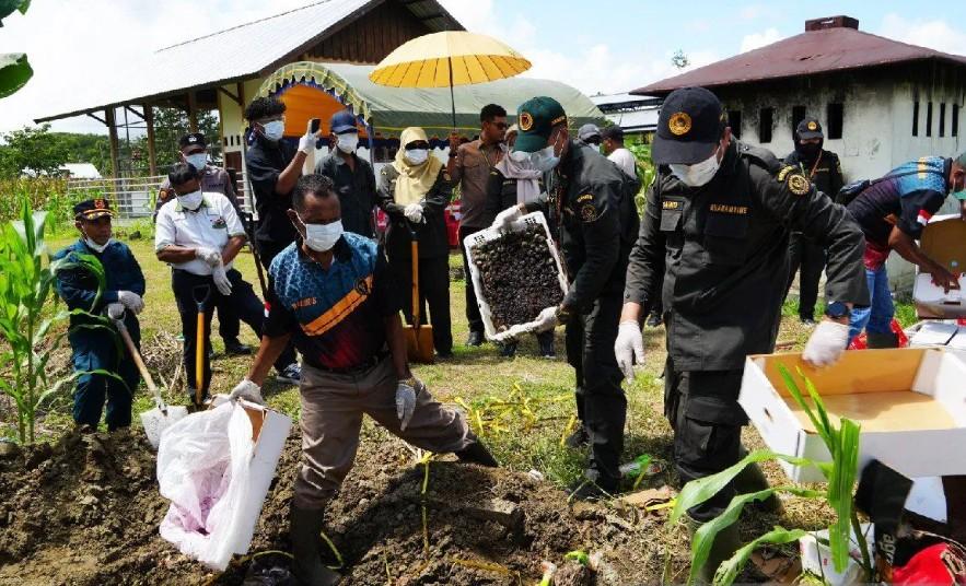 Karantina Papua Musnahkan 4,19 Ton Pangan Rusak dari Surabaya Demi Cegah Kontaminasi di Jayapura