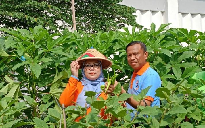 Pemkot Jakarta Timur Perkuat Pembinaan Melon Inthanon karena Tingginya Permintaan Pasar