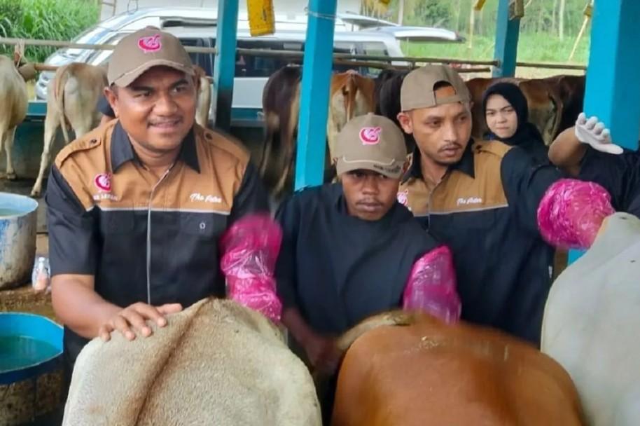 Gerakan Senator Inseminator DPD RI Dorong Percepatan Swasembada Daging dan Susu Nasional