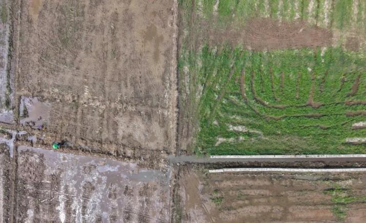 Antisipasi Kekeringan hingga Penguatan Farmakovigilans Jadi Sorotan Berita Humaniora