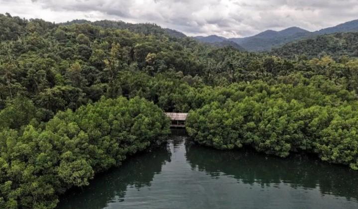 Permenhut 6/2026 Dinilai Perkuat Stabilitas dan Kepercayaan Pengusaha dalam Proyek Karbon Nasional