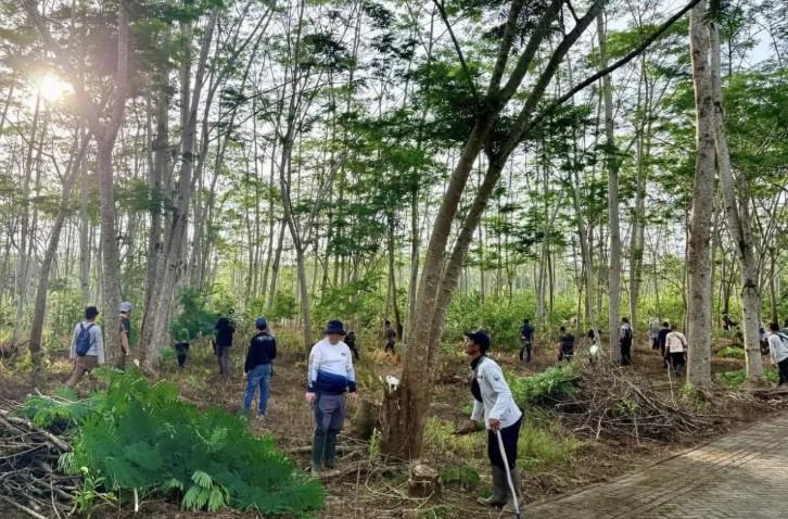 Kalsel Tanam 500 Bibit Tanjung untuk Perkuat Rehabilitasi Lahan di Bundaran Pohon Jokowi