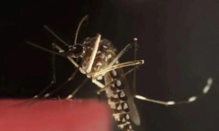 ECOWAS Serukan Penguatan Strategi Regional untuk Berantas Malaria di Afrika Barat