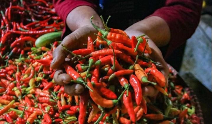 Harga Cabai Rawit Tembus Rp62.300 per Kg, Telur Ayam Rp35.150 di Awal Pekan