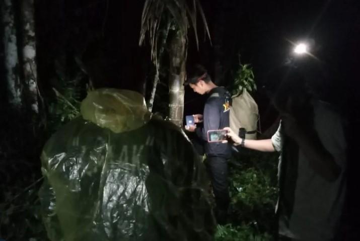 BKSDA Sumbar Siapkan Tembak Bius untuk Evakuasi Harimau Sumatra yang Dekati Warga Agam