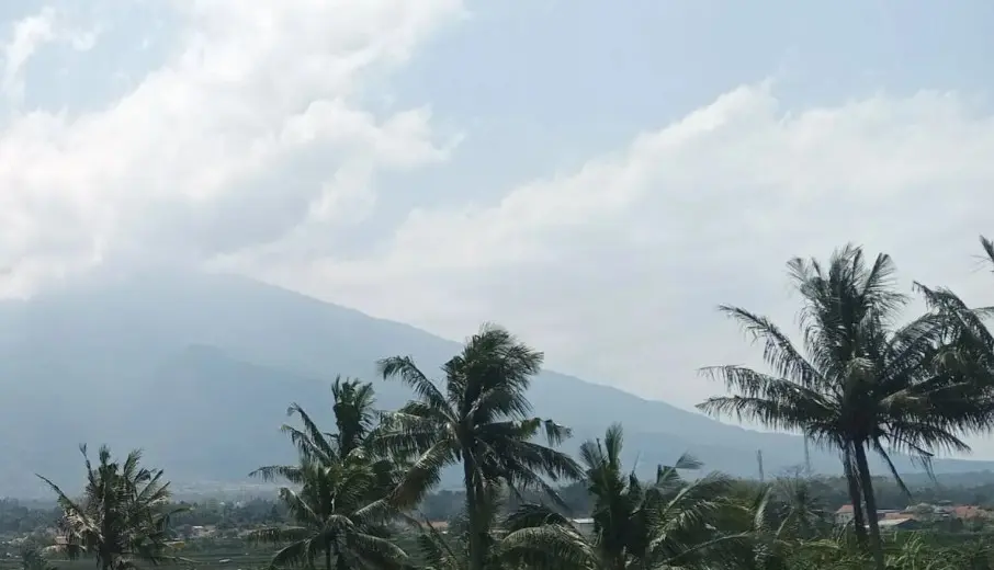 Pemkab Kuningan Kembangkan Kelapa sebagai Komoditas Strategis untuk Dorong Ekonomi Pedesaan