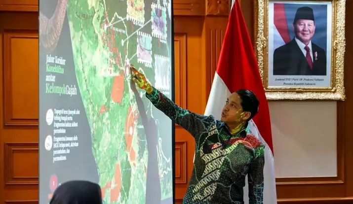 Menhut Sebut Pemerintah Fokus Selamatkan Habitat Gajah yang Tersisa di Indonesia