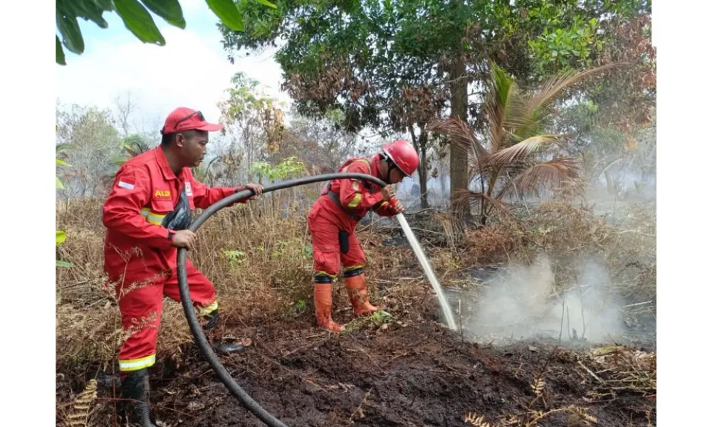Karhutla di Pelalawan Riau Masih Dipadamkan, 8 Titik Panas Terdeteksi