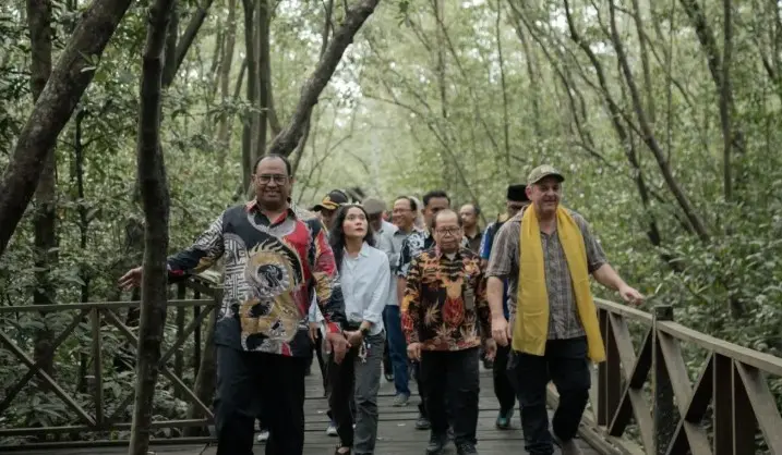 Dana Hibah Rp140 Juta Digelontorkan untuk Kembangkan Ekowisata Mangrove Penajam
